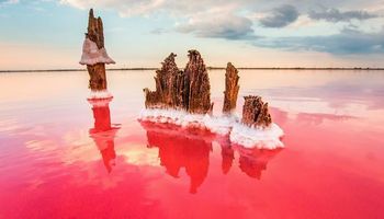 Сасык – розовое солевое озеро