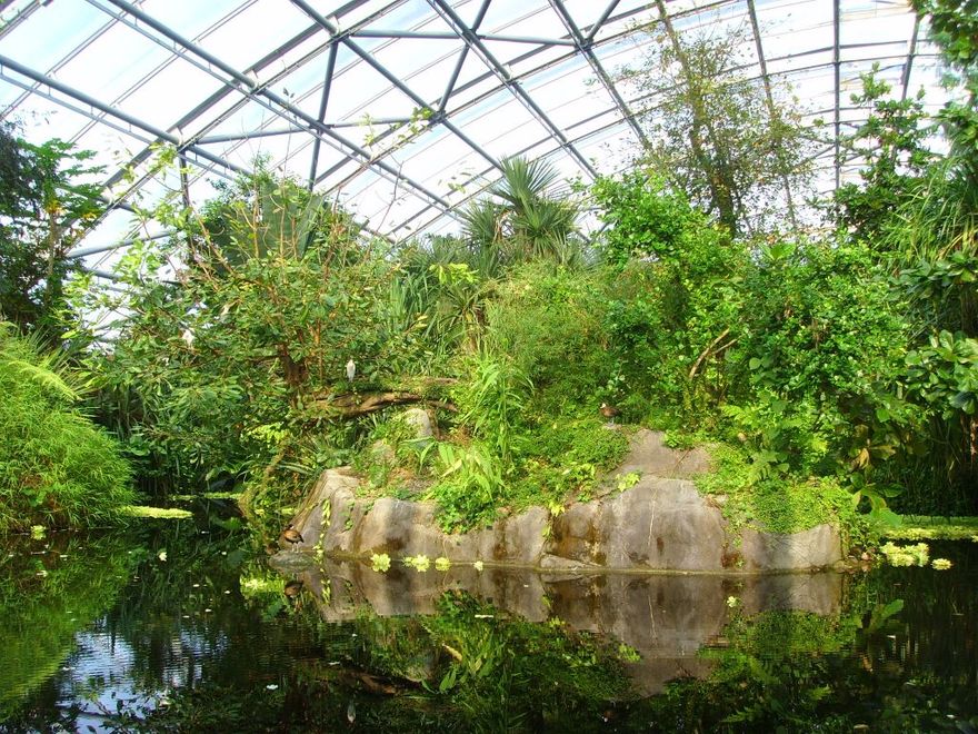 Тропический лес в зоопарке