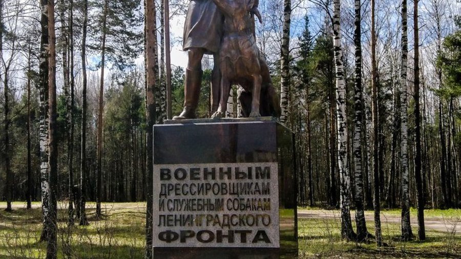 В парке «Сосновка» поставили памятник собакам Ленинградского фронта и военным дрессировщикам