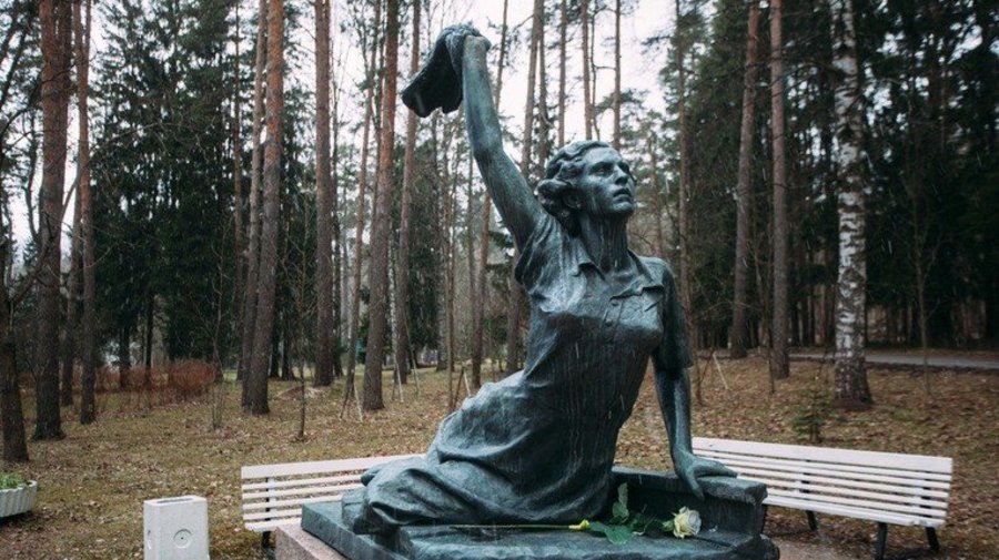Памятник Раймонде Дьен
