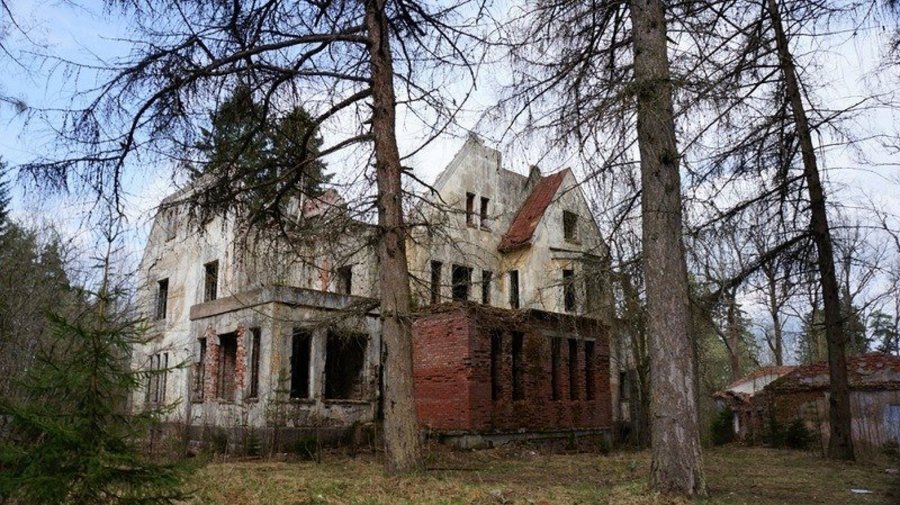 Дача Крузеля