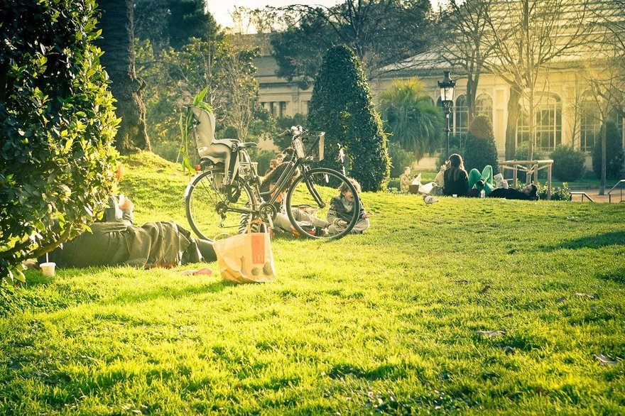 10 мест в центре Петербурга, куда отправиться на ланч или пикник