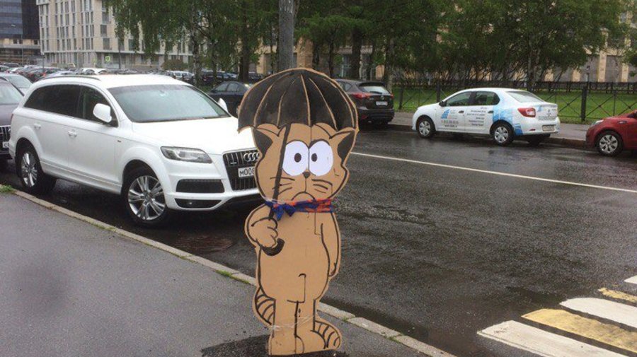 Грустный кот, который потерял лето, появился в Петербурге 
