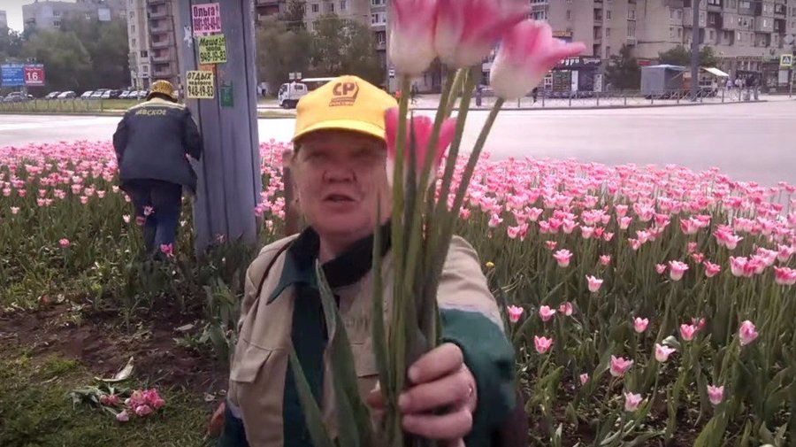 Садовники срезали тюльпаны и дарили их петербуржцам, чтобы посадить на этом месте новые 