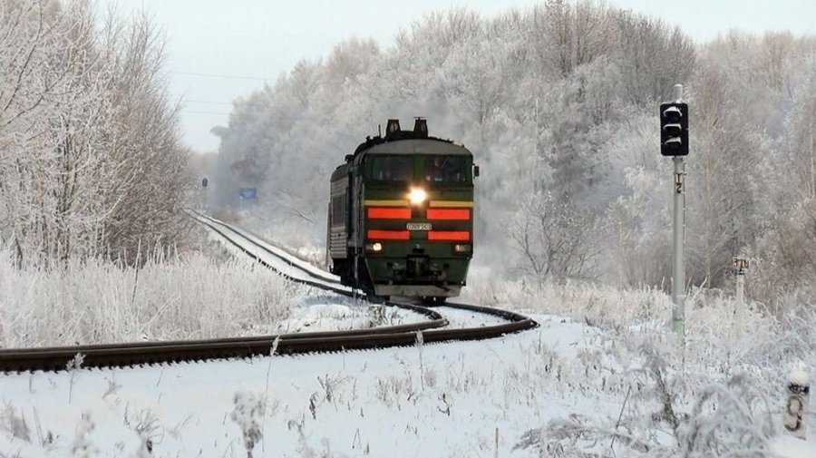 Бесплатные электрички «Лыжные стрелы» запустят в январе