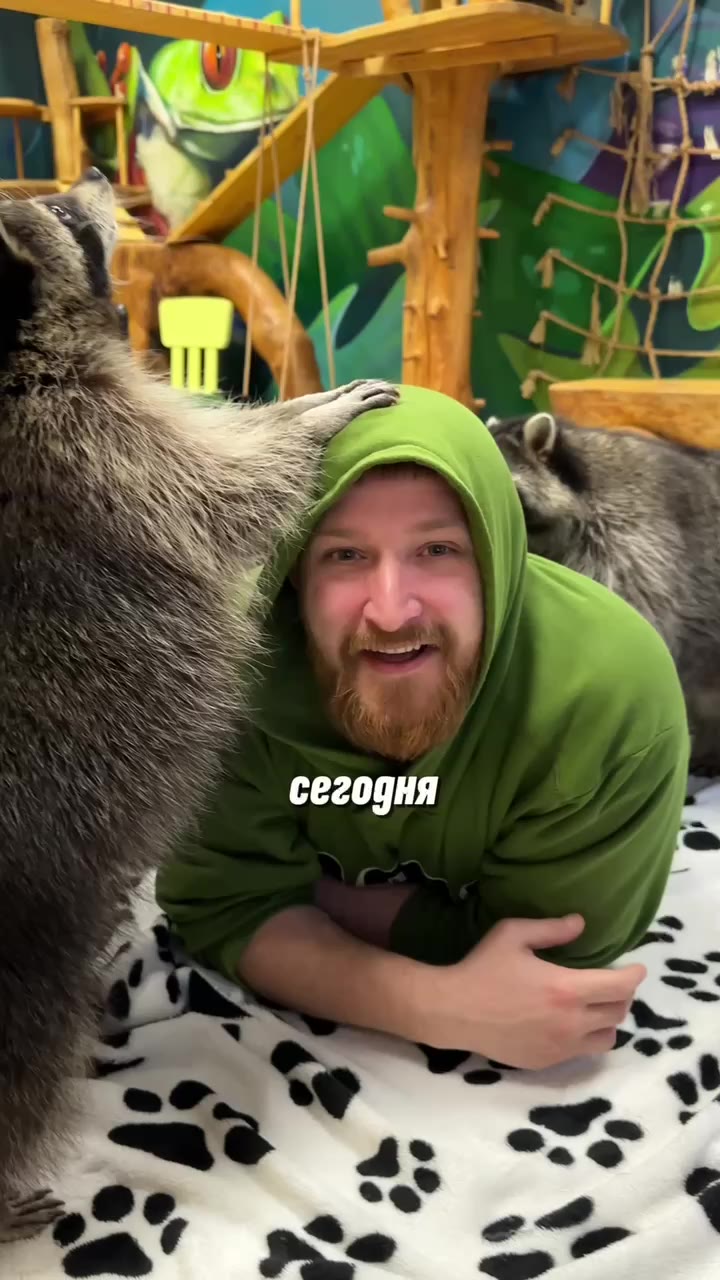 🦝 Знаменитый в Петербурге Енотовиль