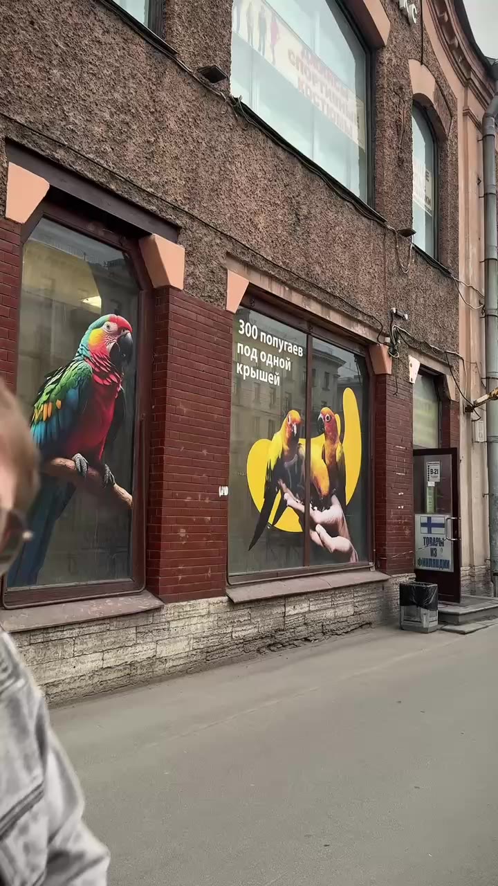 🦜Покупаем попугая в Петербурге