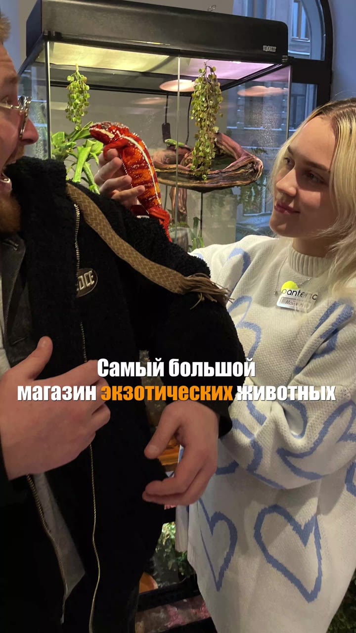 Самый большой магазин экзотических животных 🦂🦎