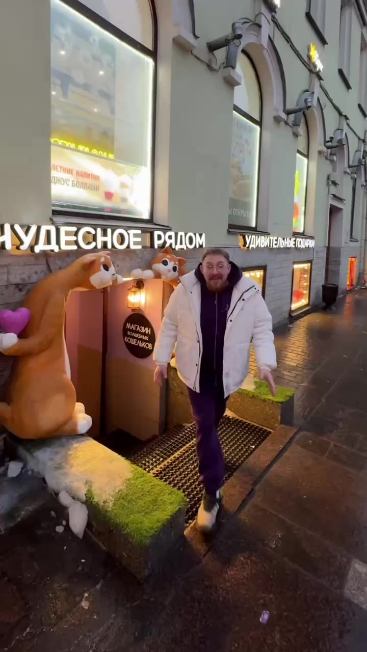 🐈Магазин с огромной коллекцией игрушечных котиков в Петербурге